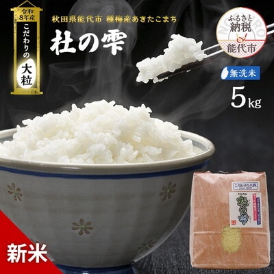 先行予約 新米 令和8年 あきたこまち 5kg 無洗米 [No.5335-1595]