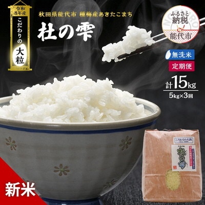 先行予約 新米 無洗米 定期便3ヶ月 あきたこまち 5kg 計15kg [No.5335-1597]