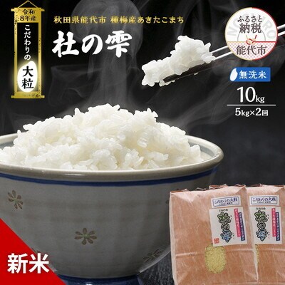 先行予約 新米 令和8年 あきたこまち 10kg 無洗米 [No.5335-1607]
