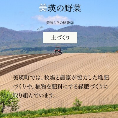 【令和9年産 先行予約】野菜 定期便 5回便 美瑛の四季～唐松(小)～
