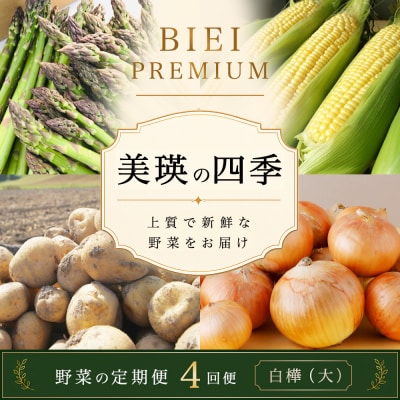 【令和9年産 先行予約】野菜 定期便 4回便 美瑛の四季～白樺(大)～
