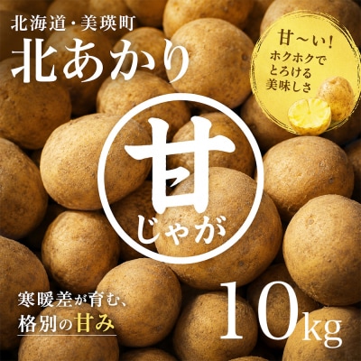 じゃがいも 北あかり 10kg 令和8年産先行受付 　[010-214]