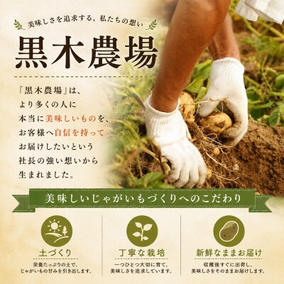 じゃがいも 北あかり 10kg 令和8年産先行受付 　[010-214]