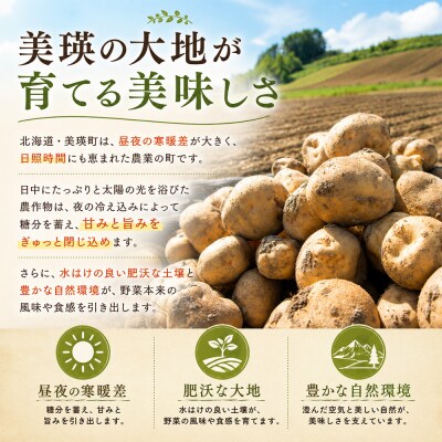 じゃがいも 北あかり 10kg 令和8年産先行受付 　[010-214]