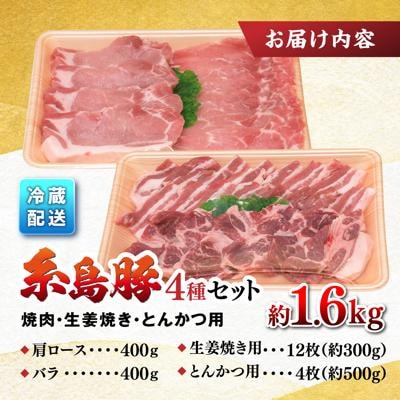 JA糸島 糸島豚 焼肉 トンカツ 生姜焼き セット /JA糸島産直市場 伊都菜彩[AED003]