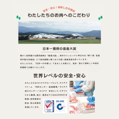 【鹿児島県産】特選豚肉コマ切れ1.5kg&豚ミンチ1.5kg(合計3kg)