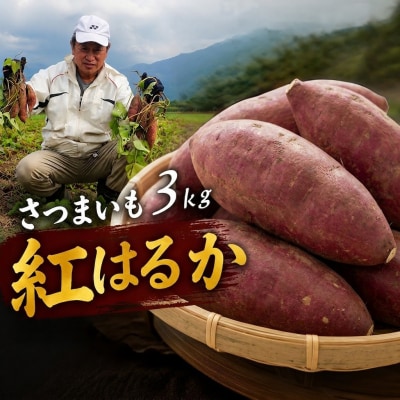 さつまいも紅はるか 3kg | 焼き芋に最適 さつまいも紅はるか