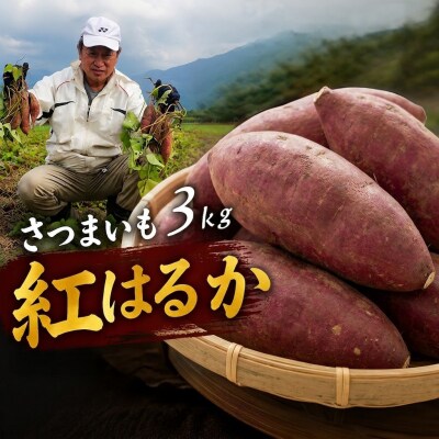 さつまいも紅はるか 3kg | 焼き芋に最適 さつまいも紅はるか