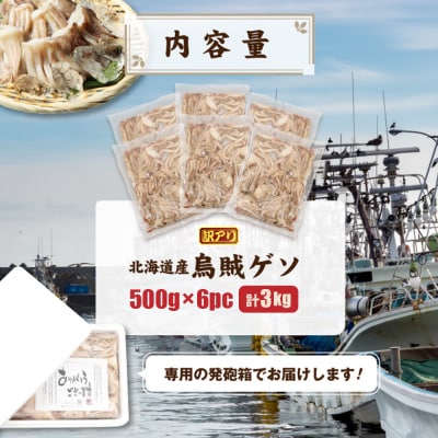 〔ワケあり〕北海道産　イカゲソ3.0kg【20007】