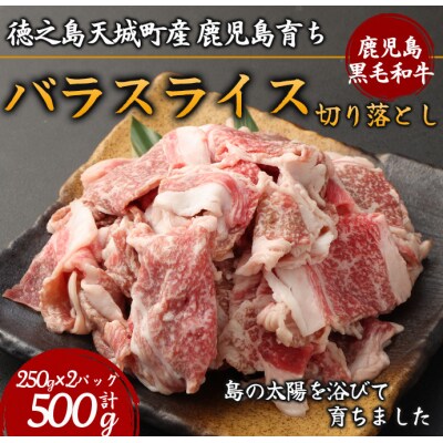 徳之島 天城町産 鹿児島育ち 鹿児島黒毛和牛切り落とし(500g)