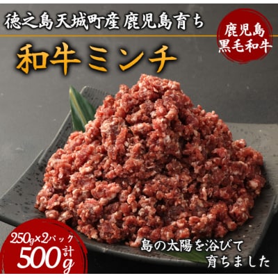徳之島 天城町産 鹿児島育ち 鹿児島黒毛和牛ミンチ(500g)