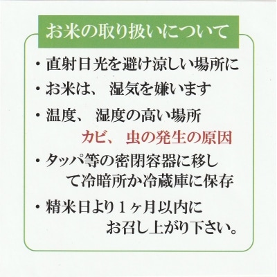 令和7年産 大山しらゆき米10kg(精白、コシヒカリ)
