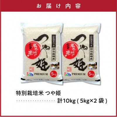 令和7年産 特別栽培米 つや姫 10kg ( 5kg×2袋 )