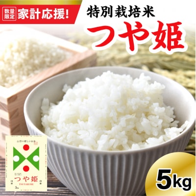 ※2026年4月発送分※ 【令和7年産】 特別栽培米 つや姫 5kg 〔精米〕