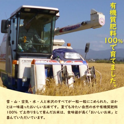 【先行予約】令和8年産 2026年11月発送分 無洗米 つや姫 6kg ( 2kg × 3袋 )