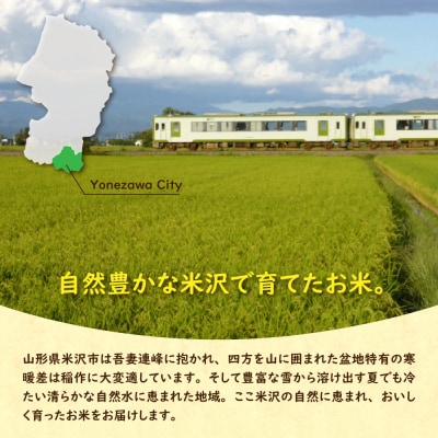 【先行予約】令和8年産 2026年12月発送分 無洗米 つや姫 6kg ( 2kg × 3袋 )
