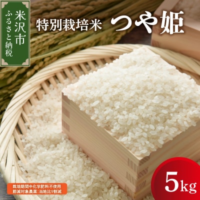 【先行予約】令和8年産 つや姫 5kg 特別栽培米 ブランド米 産地直送 2026年産