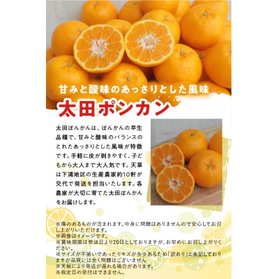 〈先行受付〉訳あり 農家の手摘み 太田 ポンカン約7.5kg_S040-012A