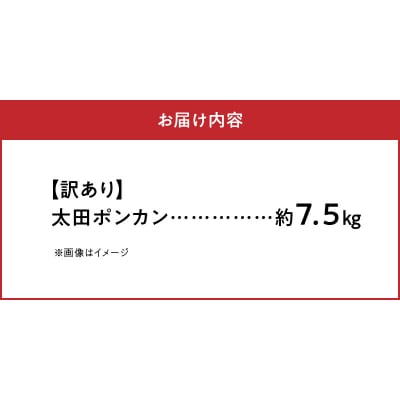 〈先行受付〉訳あり 農家の手摘み 太田 ポンカン約7.5kg_S040-012A
