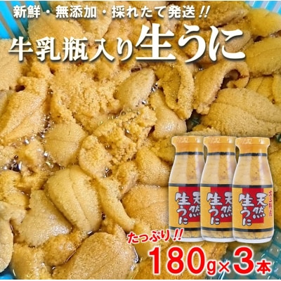 【期間限定】 北三陸産 天然生うに 180g×3本 (牛乳瓶入りウニ) 