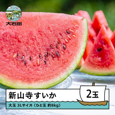 新山寺すいか 3Lサイズ×2玉 令和8年産 山形県産 yd-suo2x3