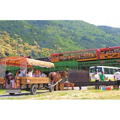京馬車で行くトロッコ亀岡駅から保津川下り乗船場コース チケット【子ども2枚】