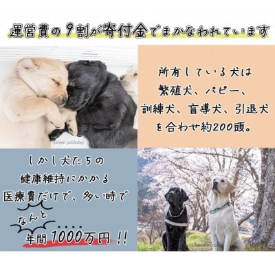 盲導犬訓練 支援寄付[盲導犬協会オリジナルグッズ]エコバッグなど3点