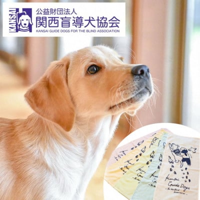 盲導犬訓練 支援寄付 記念品[盲導犬協会オリジナルグッズ]タオル・エコバッグなど