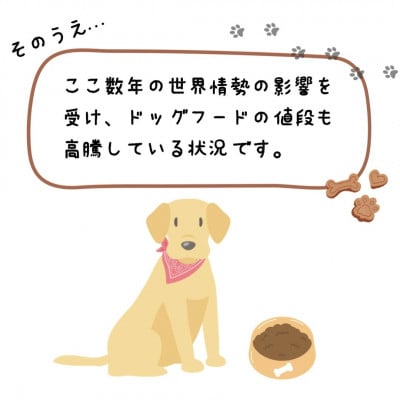 盲導犬訓練 支援寄付 記念品[盲導犬協会オリジナルグッズ]タオル・エコバッグなど
