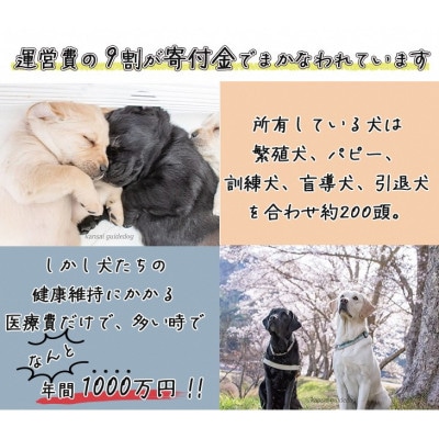 盲導犬訓練 支援寄付[盲導犬協会オリジナルグッズ]ぬいぐるみなど4点