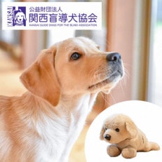 盲導犬訓練 支援寄付[盲導犬協会オリジナルグッズ]クイールぬいぐるみ、タオルなど6点