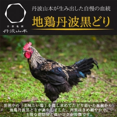 【訳あり】手捌き熟成 地鶏丹波黒どり 1羽まるごとセット 小分け<京都亀岡丹波山本>