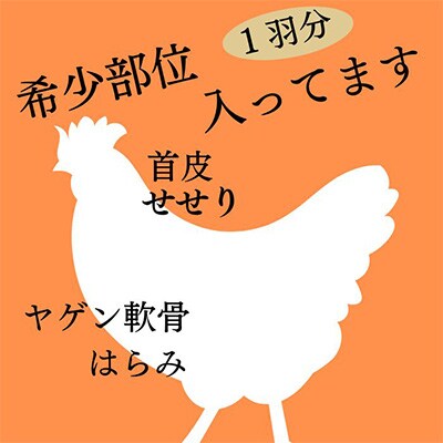 【緊急支援】京都亀岡丹波山本の手捌き熟成 丹波赤どり1羽まるごとセット