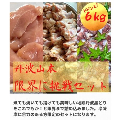京都亀岡丹波山本亀岡生まれ『地鶏丹波黒どり』手羽元・砂肝・ササミ丹波山本限界に挑戦6kgセット