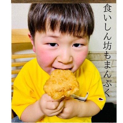京都亀岡丹波山本亀岡生まれ『丹波赤どり鶏カツ』40枚