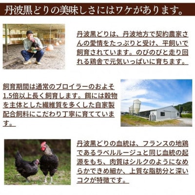 【訳あり・緊急支援】地鶏丹波黒どり手羽先&手羽元ボリュームセット 500g×7パック(計3.5kg)