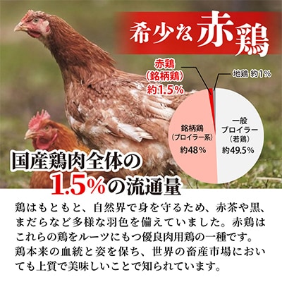 【訳あり】丹波赤どり 手羽元 計4kg(2kg×2パック)《京都亀岡丹波山本》