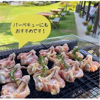 【訳あり】丹波赤どり 手羽元 計4kg(2kg×2パック)《京都亀岡丹波山本》