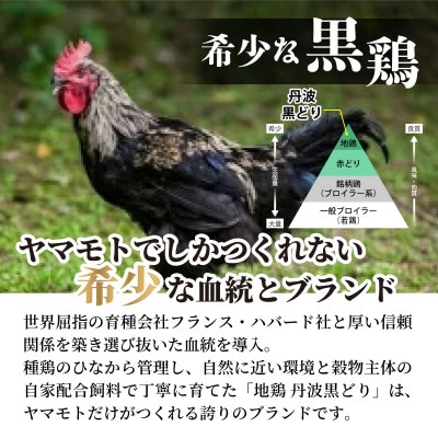 【訳あり】地鶏丹波黒どり ムネ肉 2kg《京都亀岡丹波山本》