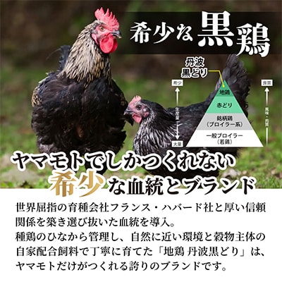 【訳あり】地鶏丹波黒どり ムネ肉 2kg《京都亀岡丹波山本》