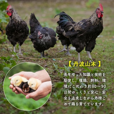 【毎月定期便】訳あり 京の肉&地鶏丹波黒どり・丹波赤どり お楽しみセット 全6回