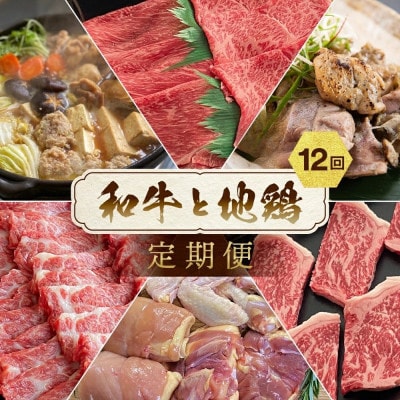 【毎月定期便】訳あり 京の肉&地鶏丹波黒どり・丹波赤どり お楽しみセット全12回
