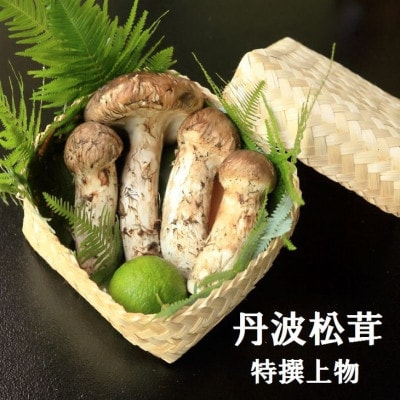【先行受付】数量限定 丹波松茸(篭入り)特選上物<丹波四季菜料理 宮本屋>