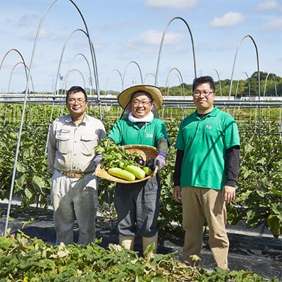 【6月～9月中旬発送】夏の厳選 京漬物 詰合せ