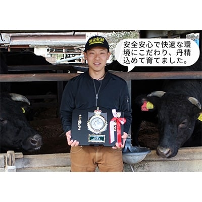 亀岡牛　サーロインステーキ　7枚(1.4kg)　ソース・スパイス付き