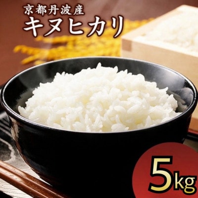 令和7年産 京都丹波産 キヌヒカリ 5kg 精米《JA京都たわわ朝霧》