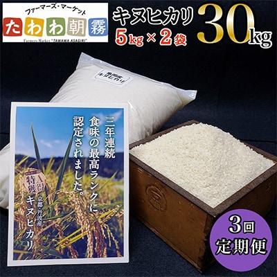 【毎月定期便】JA京都 たわわ朝霧の京都丹波産 キヌヒカリ 10kg(5kg×2袋) 全3回