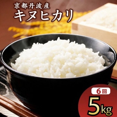 【毎月定期便】JA京都 たわわ朝霧の京都丹波産 キヌヒカリ5kg 全6回