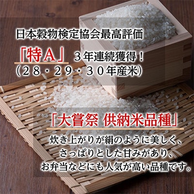 【毎月定期便】JA京都 たわわ朝霧の京都丹波産 キヌヒカリ5kg 全6回