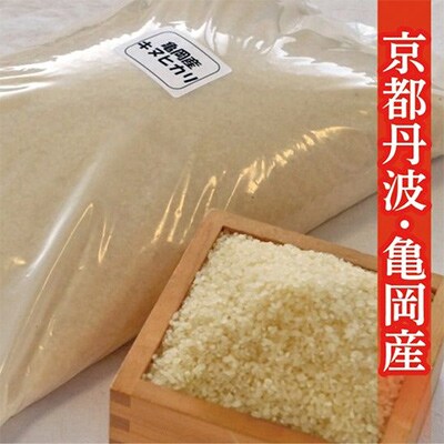 【毎月定期便】JA京都 たわわ朝霧の京都丹波産 キヌヒカリ 10kg(5kg×2袋) 全12回
